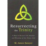 1. Resurrecting The Trinity By M James Sawyer